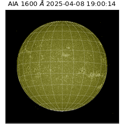 saia - 2025-04-08T19:00:14.132000