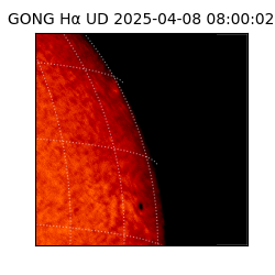 gong - 2025-04-08T08:00:02