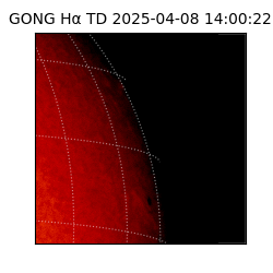 gong - 2025-04-08T14:00:22