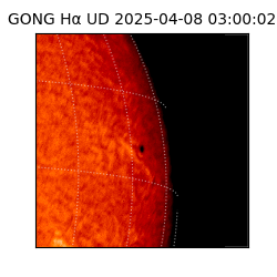 gong - 2025-04-08T03:00:02