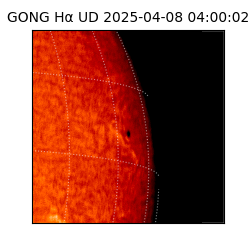 gong - 2025-04-08T04:00:02