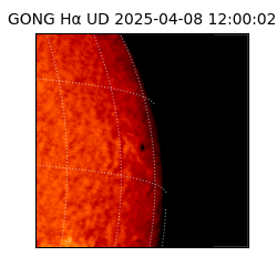 gong - 2025-04-08T12:00:02