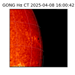 gong - 2025-04-08T16:00:42