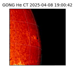gong - 2025-04-08T19:00:42