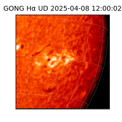 gong - 2025-04-08T12:00:02