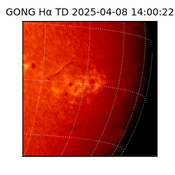 gong - 2025-04-08T14:00:22