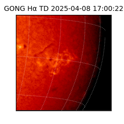 gong - 2025-04-08T17:00:22