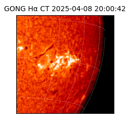 gong - 2025-04-08T20:00:42