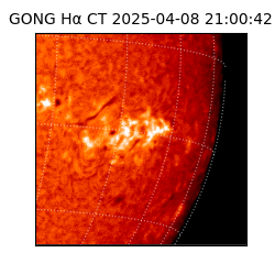 gong - 2025-04-08T21:00:42