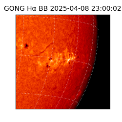 gong - 2025-04-08T23:00:02