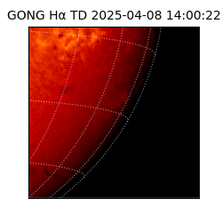 gong - 2025-04-08T14:00:22