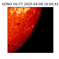 gong - 2025-04-08T16:00:42