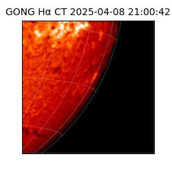 gong - 2025-04-08T21:00:42