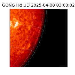 gong - 2025-04-08T03:00:02