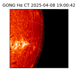 gong - 2025-04-08T19:00:42