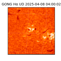 gong - 2025-04-08T04:00:02