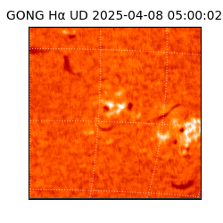 gong - 2025-04-08T05:00:02