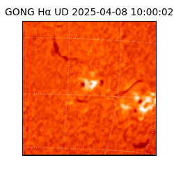 gong - 2025-04-08T10:00:02