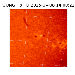 gong - 2025-04-08T14:00:22