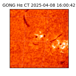 gong - 2025-04-08T16:00:42