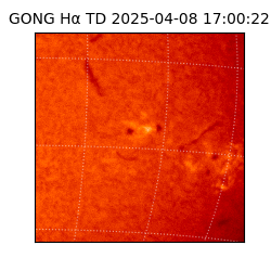 gong - 2025-04-08T17:00:22