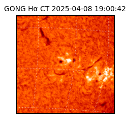 gong - 2025-04-08T19:00:42