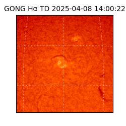 gong - 2025-04-08T14:00:22