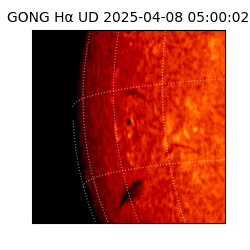 gong - 2025-04-08T05:00:02
