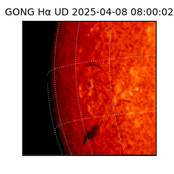 gong - 2025-04-08T08:00:02