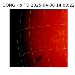 gong - 2025-04-08T14:00:22