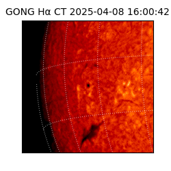 gong - 2025-04-08T16:00:42