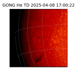 gong - 2025-04-08T17:00:22