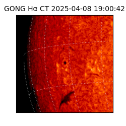 gong - 2025-04-08T19:00:42