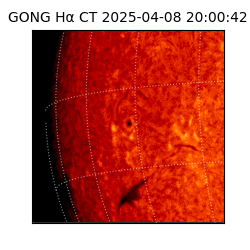 gong - 2025-04-08T20:00:42