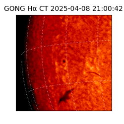 gong - 2025-04-08T21:00:42