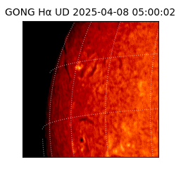 gong - 2025-04-08T05:00:02