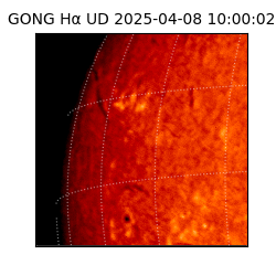 gong - 2025-04-08T10:00:02