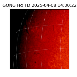 gong - 2025-04-08T14:00:22