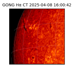 gong - 2025-04-08T16:00:42