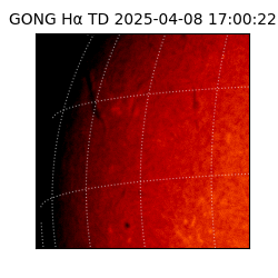 gong - 2025-04-08T17:00:22