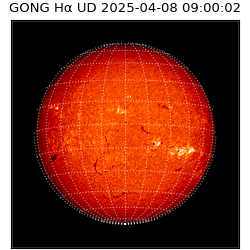 gong - 2025-04-08T09:00:02