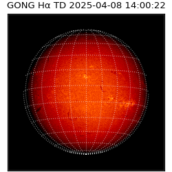 gong - 2025-04-08T14:00:22