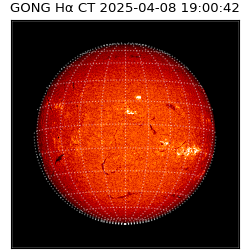 gong - 2025-04-08T19:00:42