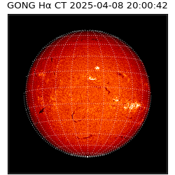 gong - 2025-04-08T20:00:42