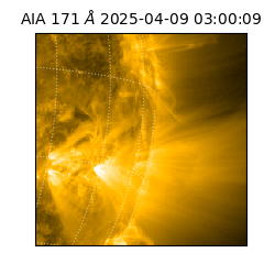 saia - 2025-04-09T03:00:09.350000