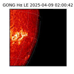 gong - 2025-04-09T02:00:42