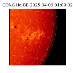 gong - 2025-04-09T01:00:02