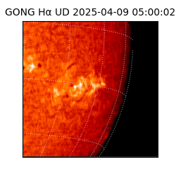 gong - 2025-04-09T05:00:02
