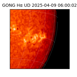 gong - 2025-04-09T06:00:02