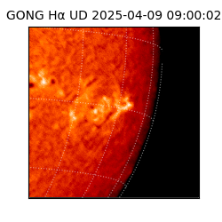 gong - 2025-04-09T09:00:02